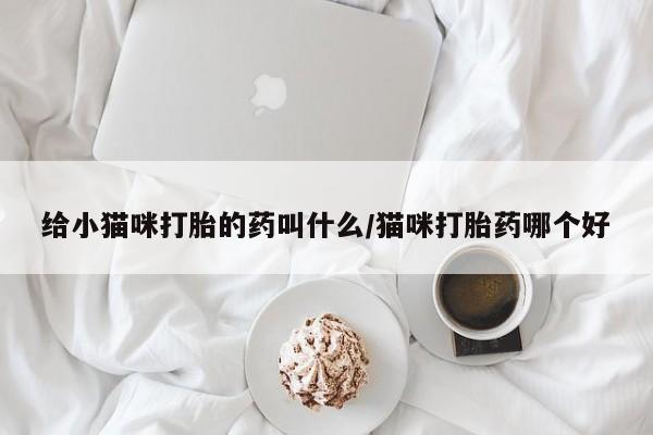 怀孕可以自己买药流吗给小猫咪打胎的药叫什么/猫咪打胎药哪个好
