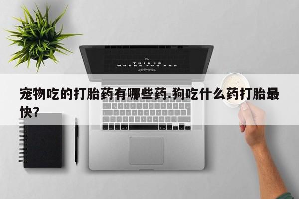 怀孕可以自己买药流吗宠物吃的打胎药有哪些药.狗吃什么药打胎最快？