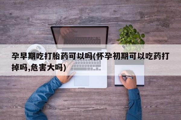 怀孕可以自己买药流吗孕早期吃打胎药可以吗(怀孕初期可以吃药打掉吗,危害大吗)