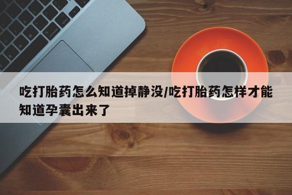 怀孕可以自己买药流吗吃打胎药怎么知道掉静没/吃打胎药怎样才能知道孕囊出来了