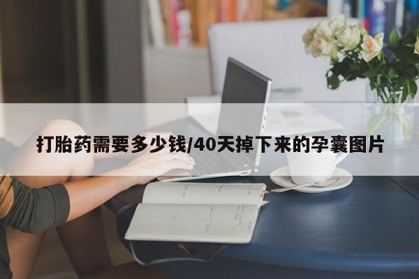 怀孕可以自己买药流吗打胎药需要多少钱/40天掉下来的孕囊图片